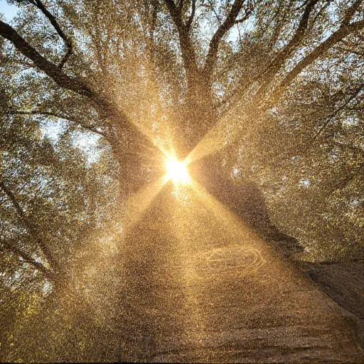 Jacky name illustration